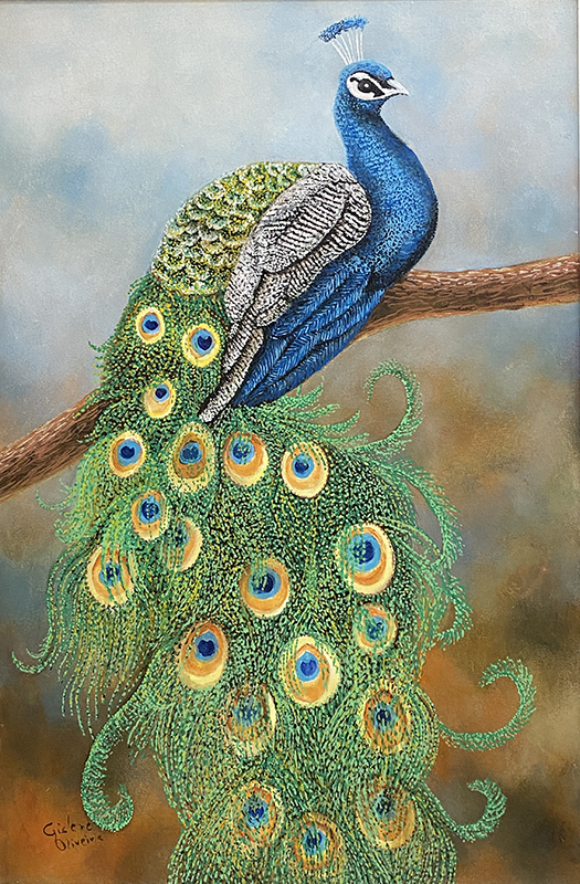 Pavo - 40 x 60 - Tc Mista -2021